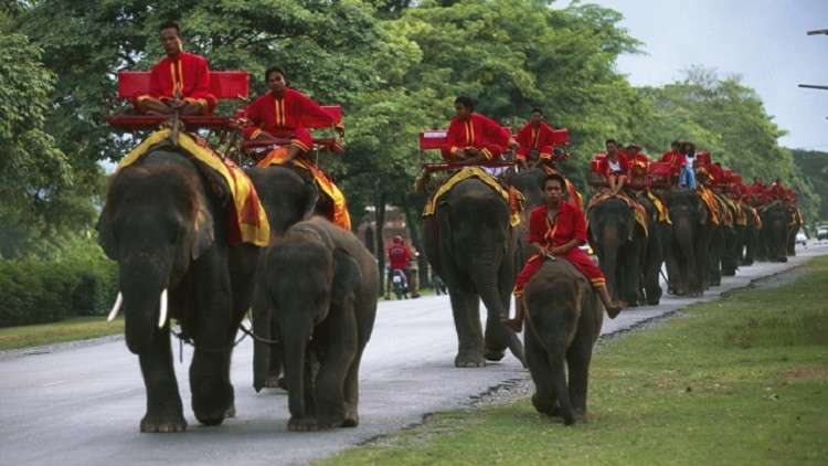 10 آلاف عريس بباب ابنة المليونير! (صور)