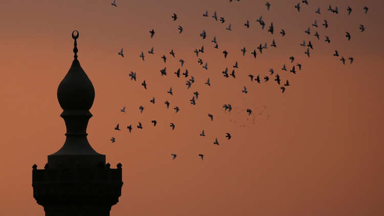 مصر .. خطبة الجمعة بعشر لغات