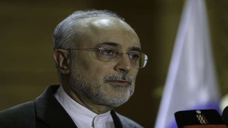مساعد رئيس الجمهورية، رئيس منظمة الطاقة الذرية الإيرانية علي أكبر صالحي