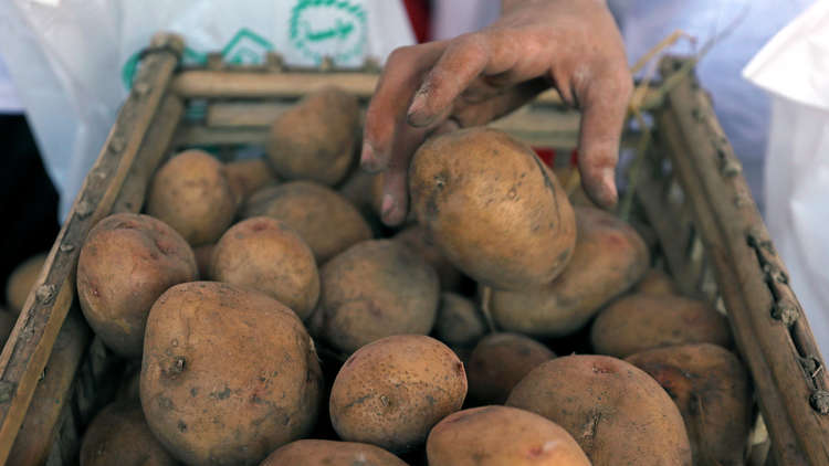 القاهرة: تركيا فتحت أسواقها أمام البطاطس المصرية