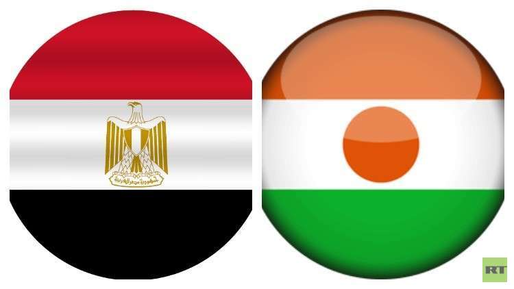 مصر تتعثر في النيجر