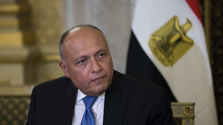 تحركات وزير خارجية مصر في واشنطن