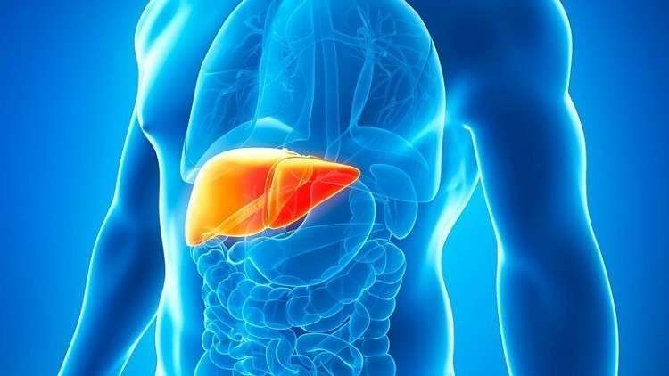"الإخصاء" يساعد في الوقاية من سرطان الكبد