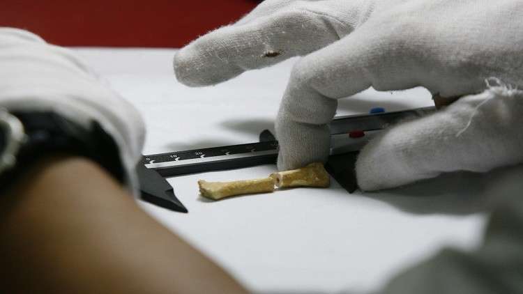 اكتشاف رفات نوع جديد من البشر في الفلبين