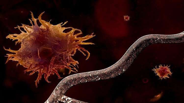 تطوير لقاح ثوري يعلم جهاز المناعة كيفية تدمير الأورام السرطانية