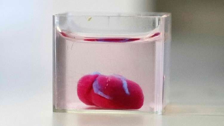 تطوير أول قلب بالطباعة ثلاثية الأبعاد مع أنسجة بشرية