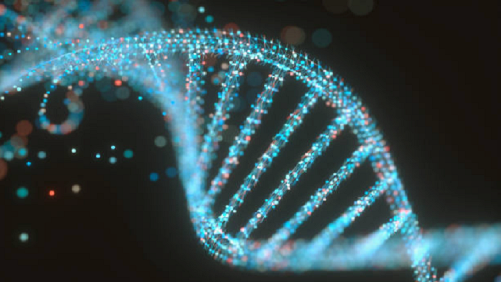 العلماء يحولون الخلايا البشرية إلى 