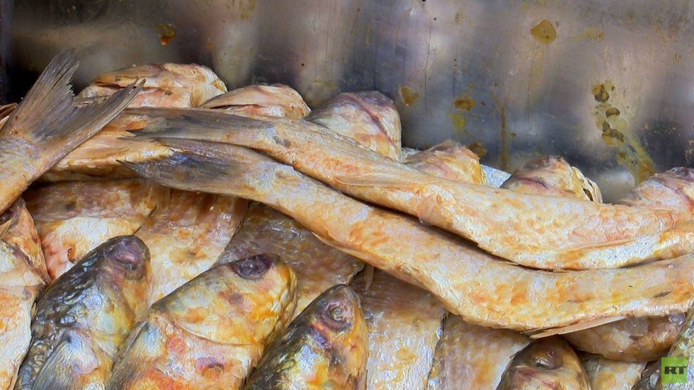 احتفال المصريين بعيد شم النسيم 