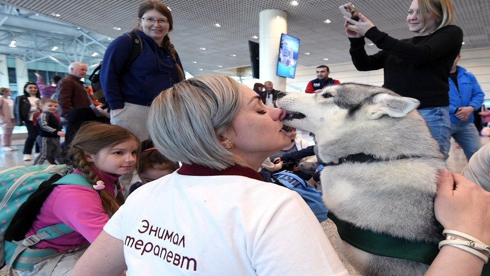 مطار روسي يقترح احتضان  كلب لمن يعاني من رهاب الطيران 