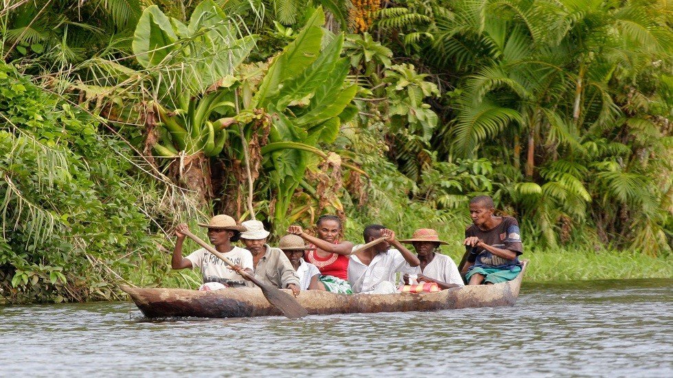 طائر انقرض قبل 136 ألف عام يبعث من جديد