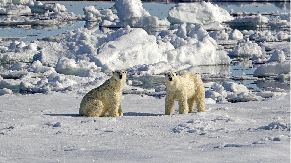 روسيا ستطلق ستة أقمار صناعية صغيرة لمراقبة القطب الشمالي