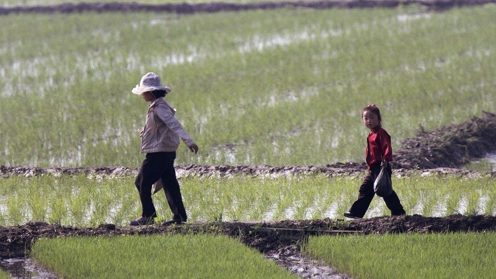 تحذيرات من "جفاف شديد" يجتاح كوريا الشمالية