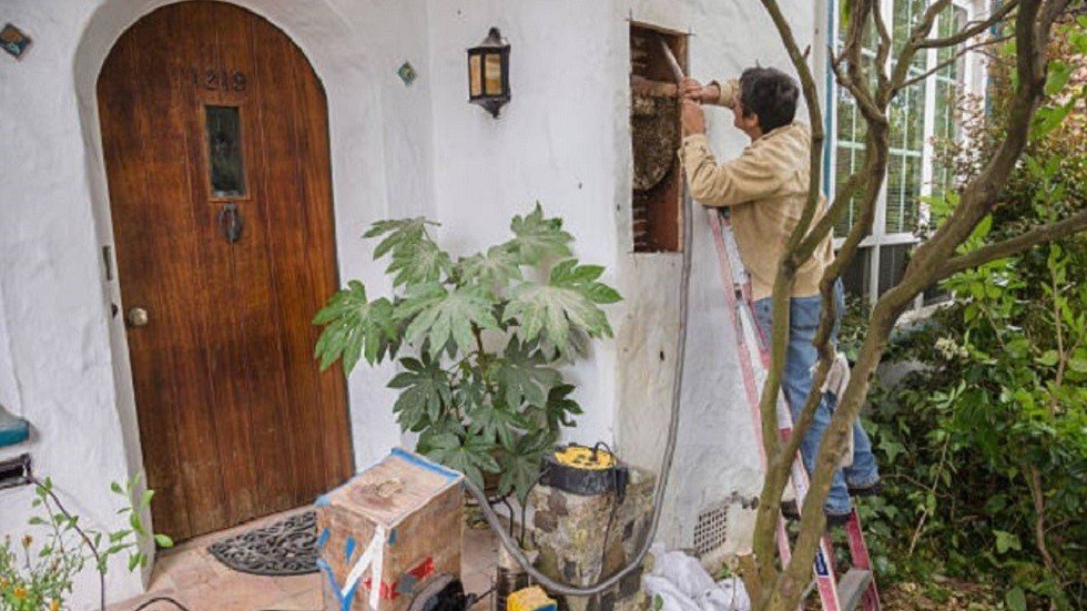 دون علمهما.. زوجان عاشا عامين مع 80 ألف نحلة في "غرفة نوم واحدة"!