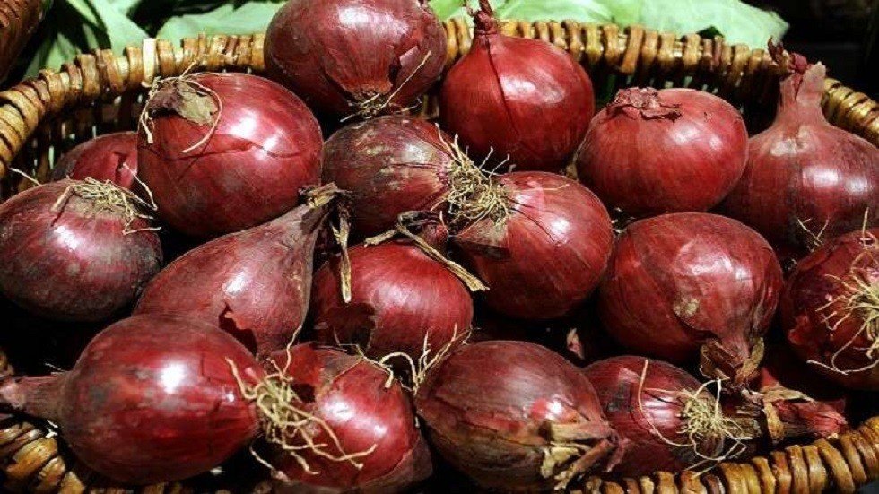 السعودية تحرر استيراد البصل المصري