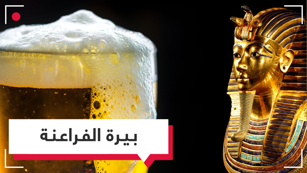 بيرة الفراعنة تعود باستخدام بكتيريا منذ 5000 آلاف عام