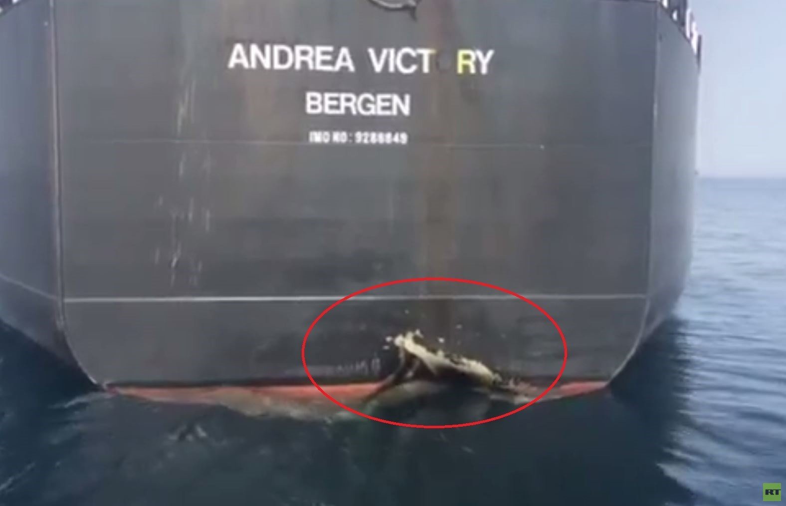شاهد.. الضربة التي تعرضت لها السفينة النرويجية خلال هجوم خليج عمان!