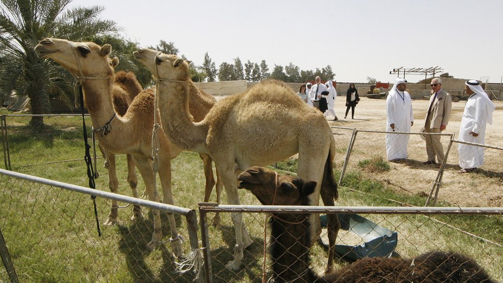قطر تسعى لتحقيق اكتفاء ذاتي مع استمرار المقاطعة الخليجية