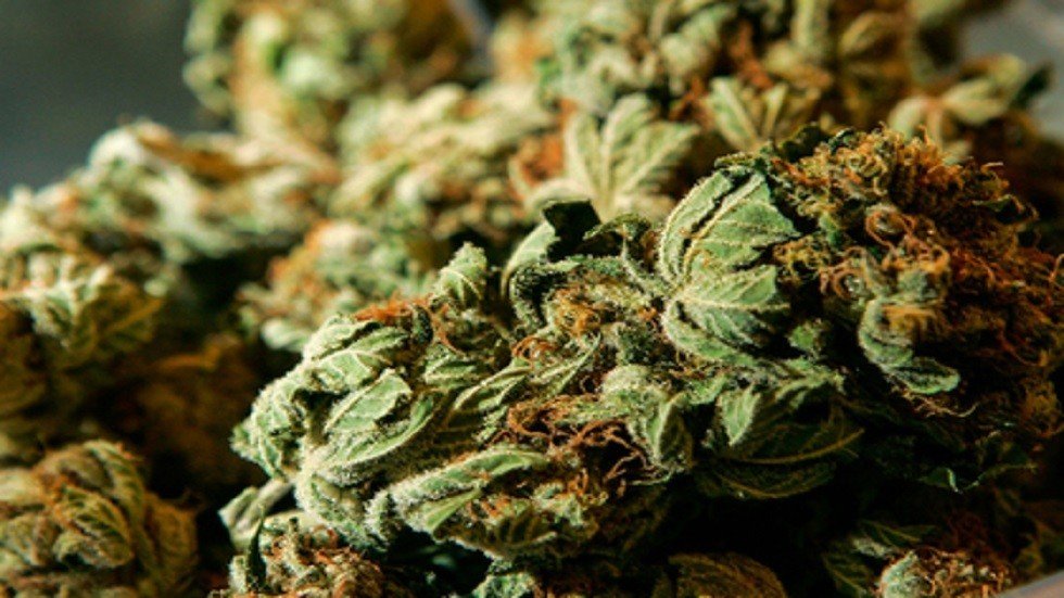 العثور على قطع أثرية فيها آثار مخدرات