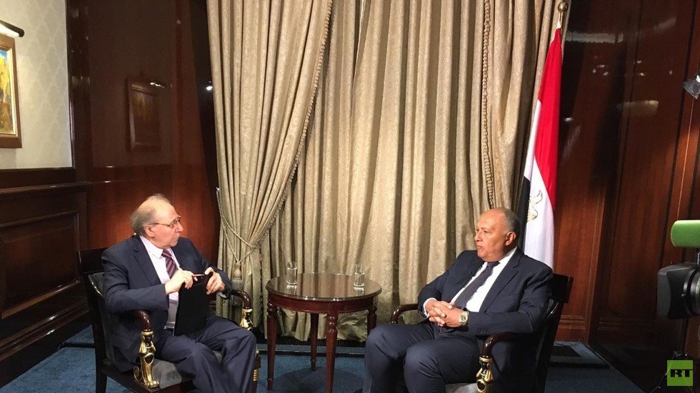 شكري لـRT: نرفض تدخلات إيران وأمن الخليج من أمن مصر