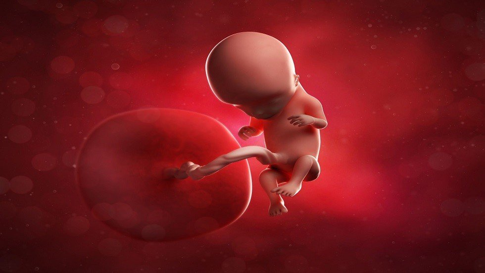 دراسة تكشف حقيقة أحد أكبر المفاهيم الخاطئة عن الحمل البشري!
