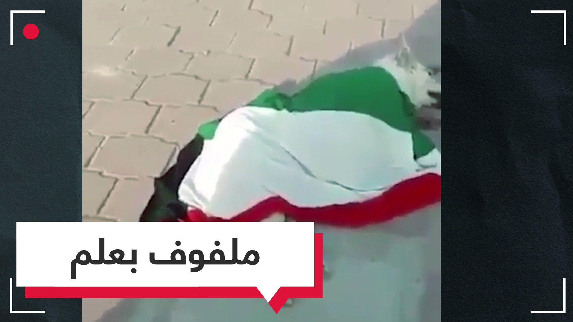 ملفوفا بالعلم.. كلب ميت يثير غضبا في الكويت 