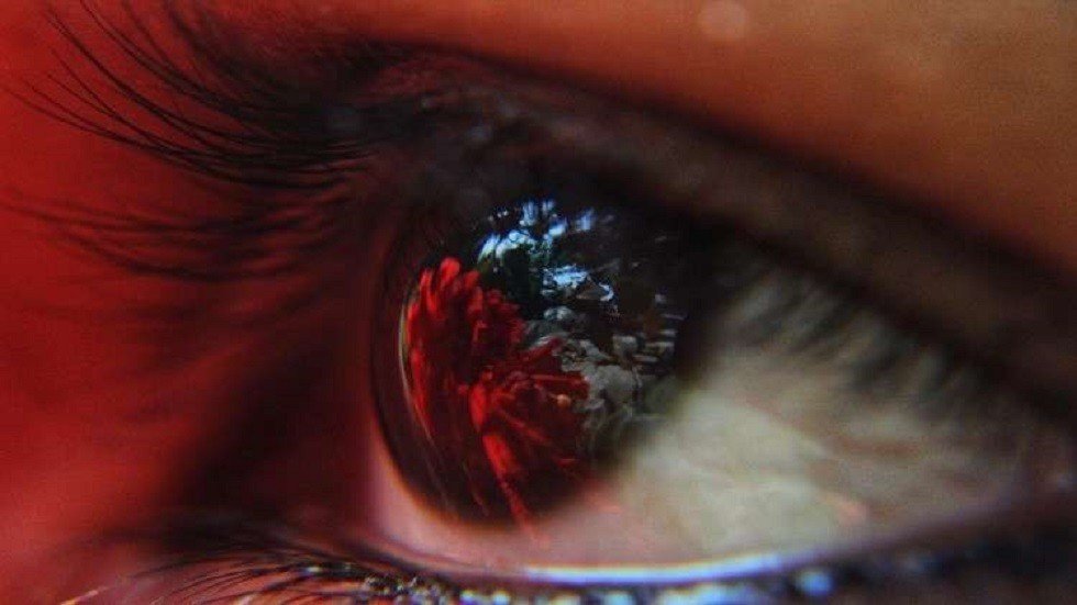بكتيريا تستوطن مقلة العين قد تقضي على العمى