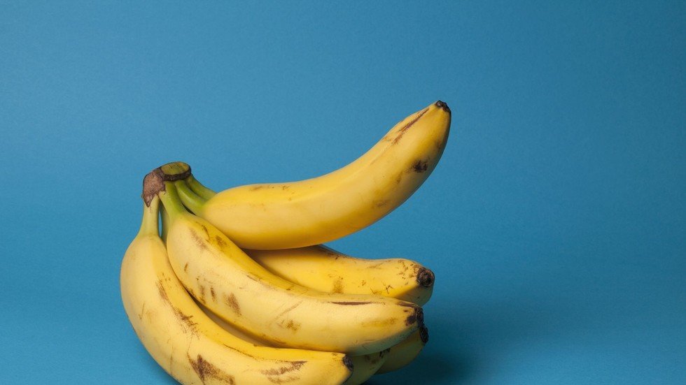 خبراء يحذرون من انقراض أكثر أنواع الموز شهرة في العالم!