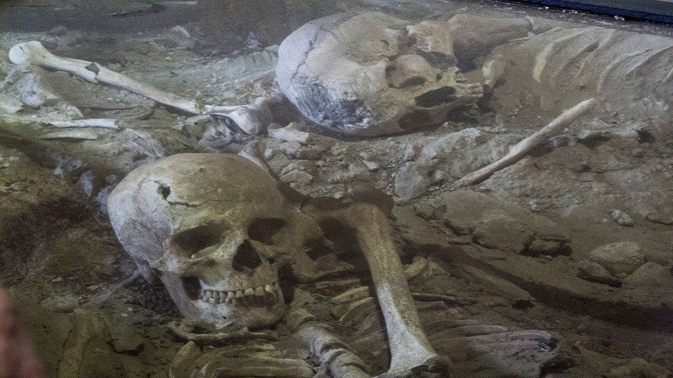 اكتشاف جماجم أعيد تشكيلها لتشبه 