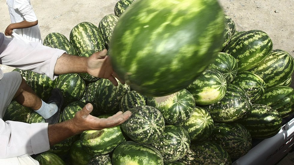 لفتة إنسانية من بائع بطيخ في السعودية 