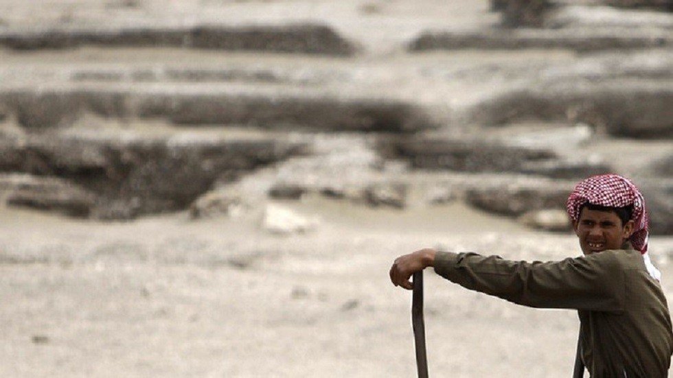 مصر تشكل لجنة تنمية زراعية متكاملة في شبه جزيرة سيناء