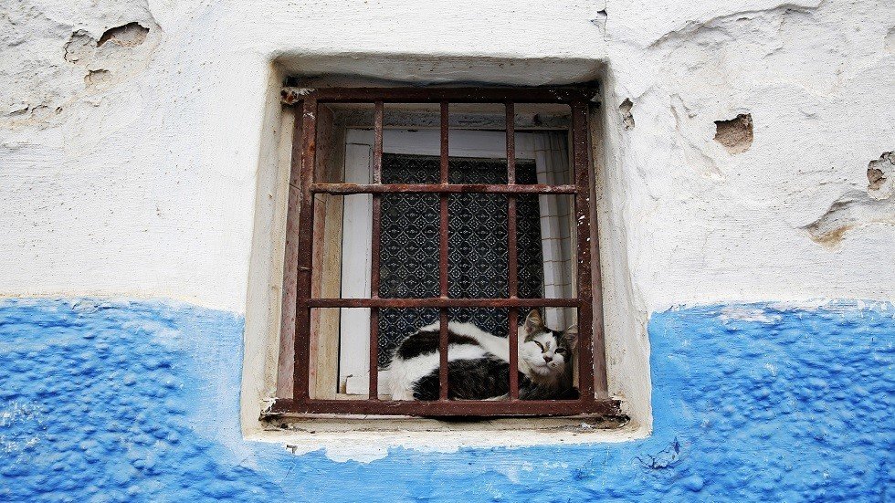 المغرب.. فضيحة من العيار الثقيل ضحاياها أطفال