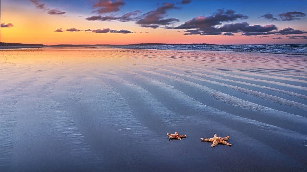 علماء يرصدون كائنا غريبا 