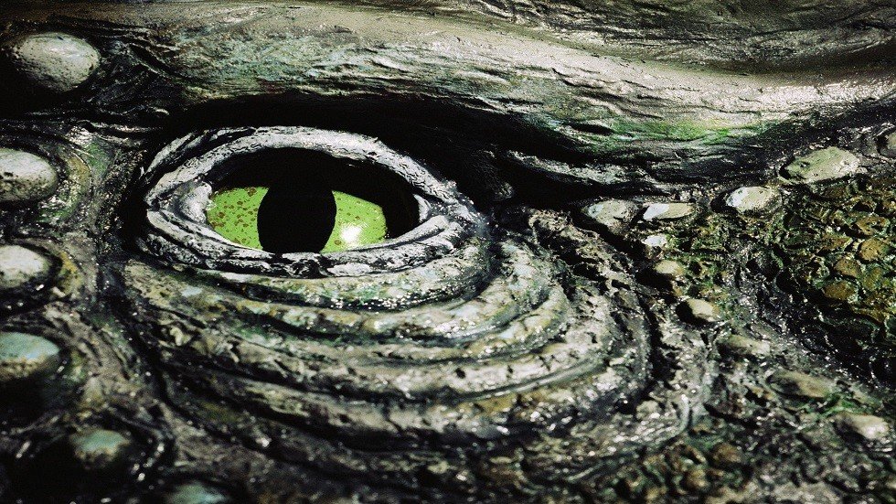 اكتشاف كائن 