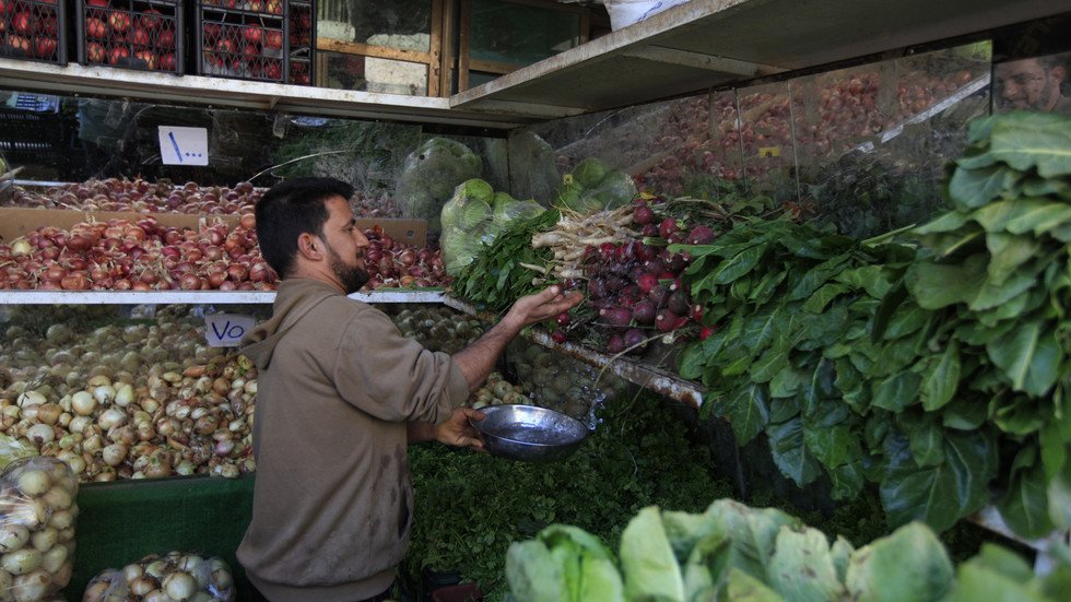 وزارة الزراعة العراقية لـRT: حققنا اكتفاء ذاتيا بـ16 مادة من الخضار