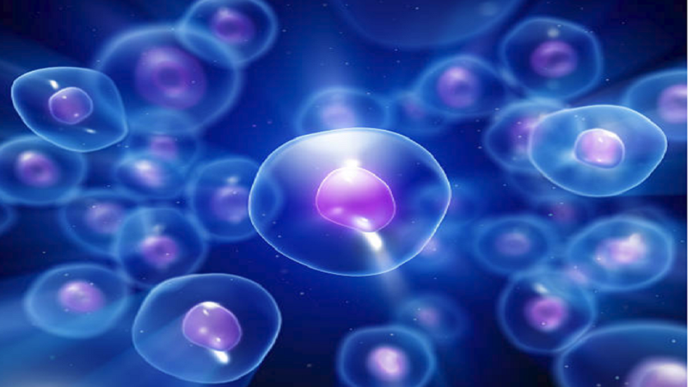 الموافقة على تجربة علمية 