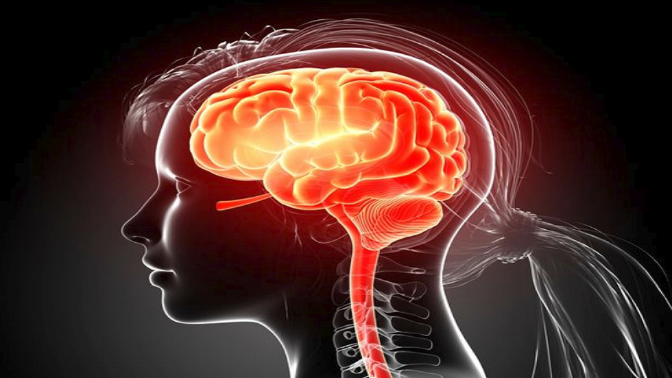 علماء يحذرون من خطر السجائر الإلكترونية على الدماغ!