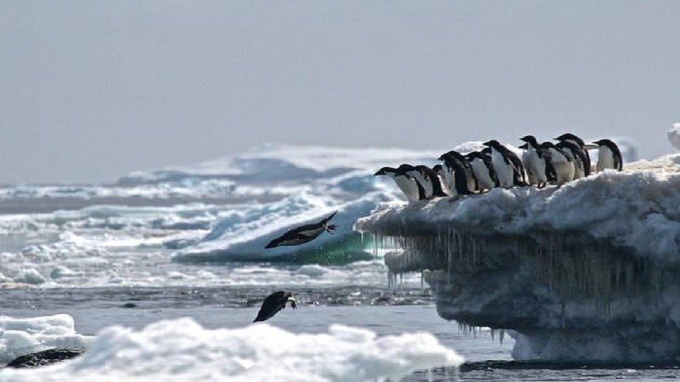 تغير جذري مفاجئ في القطب الجنوبي يحير العلماء!