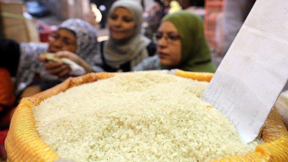 مصر: احتياطياتنا الاستراتيجية من الأرز تكفي لشهر أكتوبر المقبل