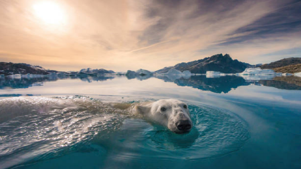 موجة الحر الأوروبية تصل إلى أبعاد 