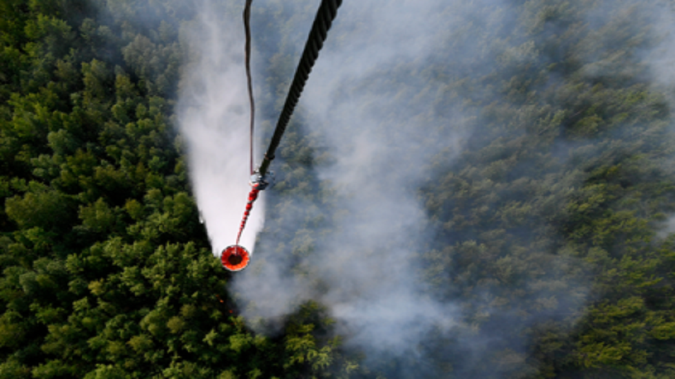 كشف السبب الرئيس لحرائق سيبيريا