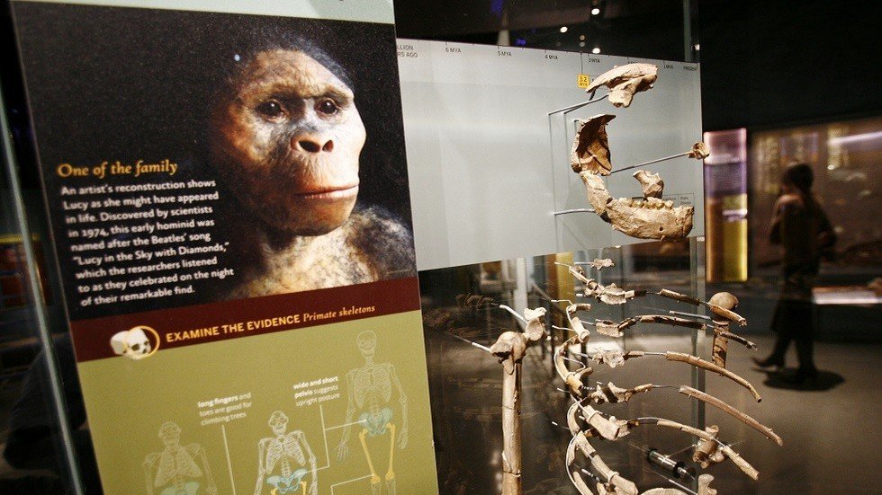 هل تم فعلا حل لغز ظهور اللغات لدى البشر؟