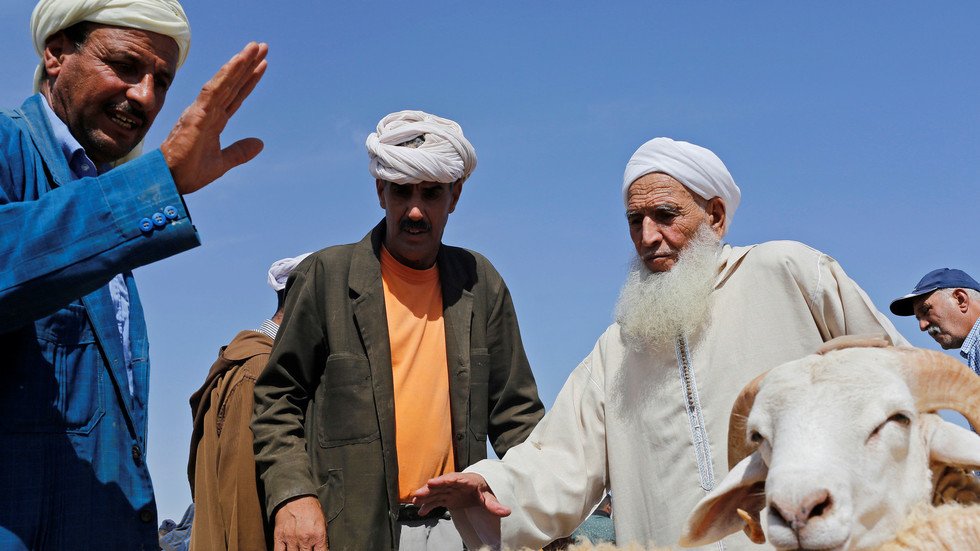 المغرب.. أضاحي تنحر في جنح الظلام!