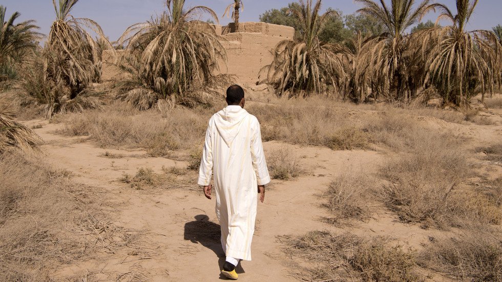 تحذيرات من جفاف سيضرب المغرب