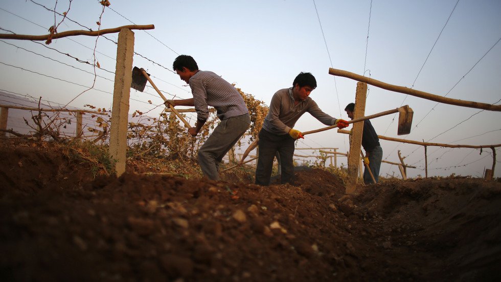 بكين لا تعتبر مدرسة إعادة التربية معسكر اعتقال