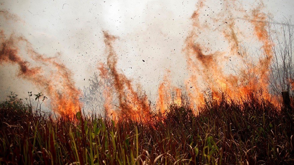 البرازيل.. طائرات حربية تلقي آلاف الغالونات من المياه فوق الأمازون (صور + فيديو)