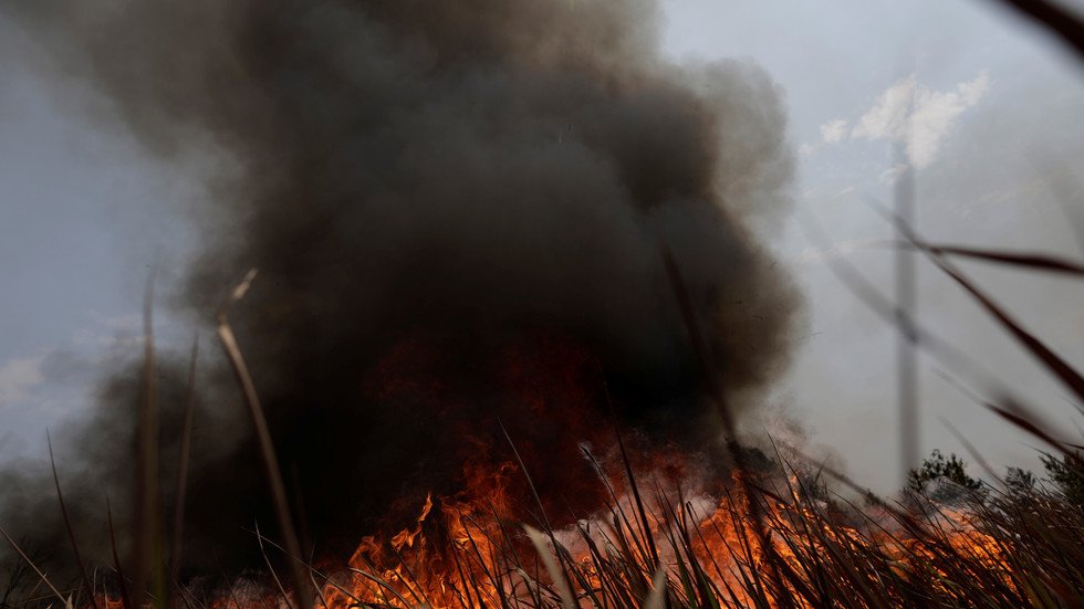 حرائق الأمازن ومدى تأثيرها على مصر