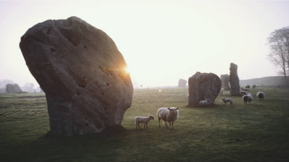 اكتشاف دليل على علامة 