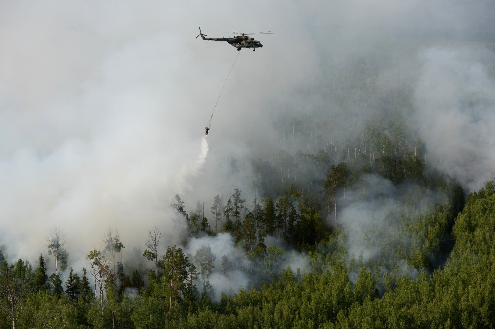 تقلص مساحة حرائق الغابات في سيبيريا والشرق الأقصى الروسي