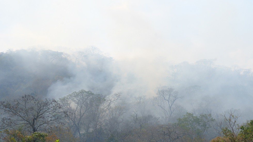 كيف يمكنك المساعدة في مكافحة حرائق الأمازون؟