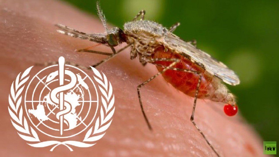 تقرير: الخبراء لا يمكنهم ايجاد طرق حديثة لمكافحة الملاريا
